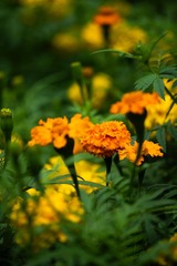 78FA3910-23B2-4388-8B9A-12B97A2C1377/L0/001