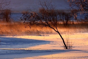 IMG_5933.jpg