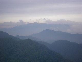 FA3570F6-4622-44AF-B8D8-E3F33D411A5E/L0/001