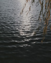 1000021168