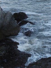 1DF69030-341A-4DCE-8E98-959A57691E47/L0/001