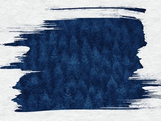 1242065