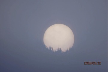 1242172