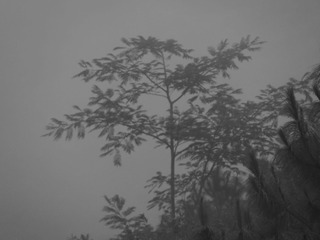 1242056