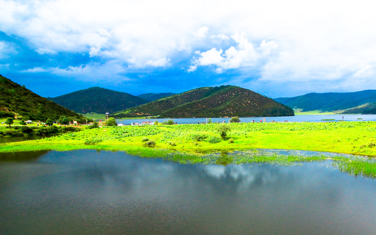 香格里拉依拉草原纳帕海