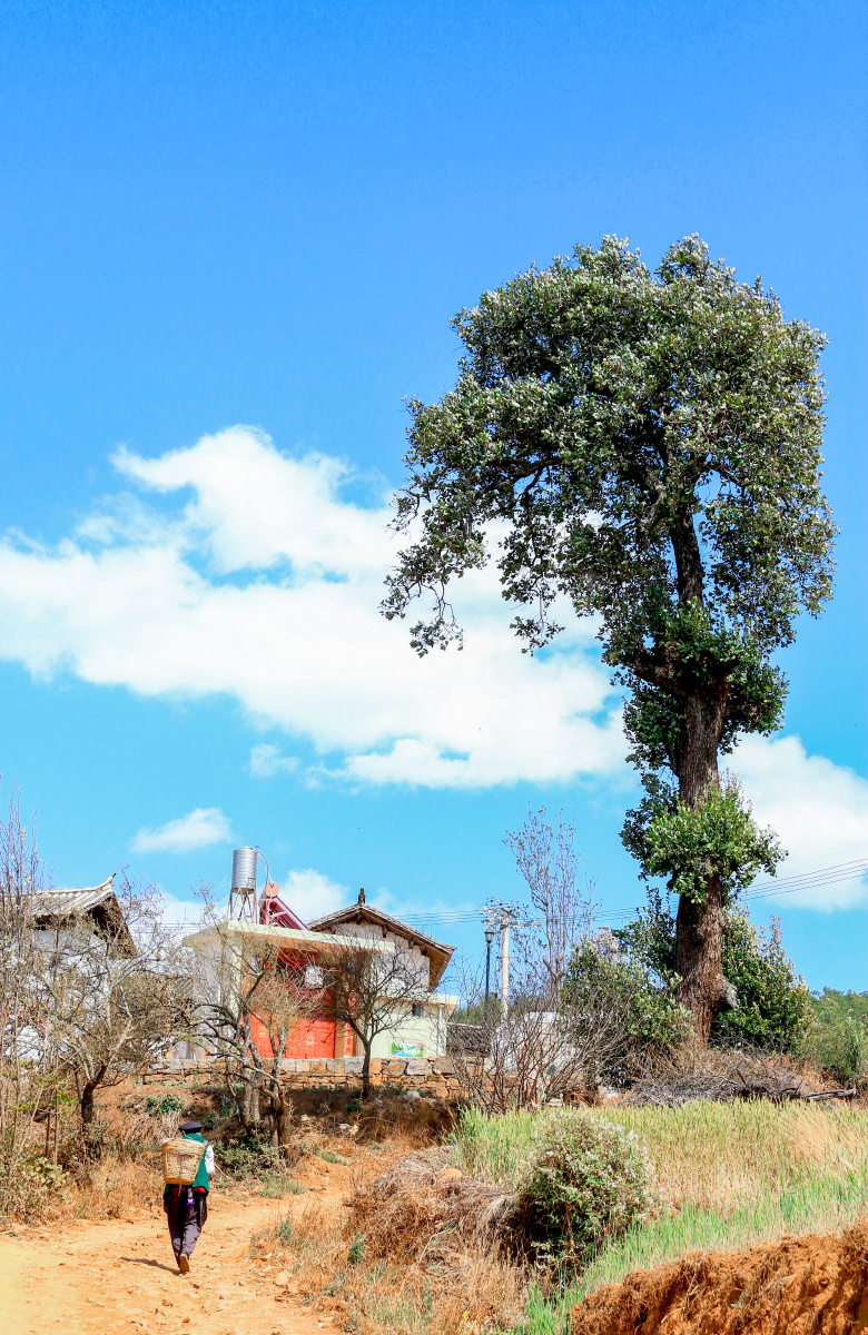 大理鹤庆奇峰梨花村