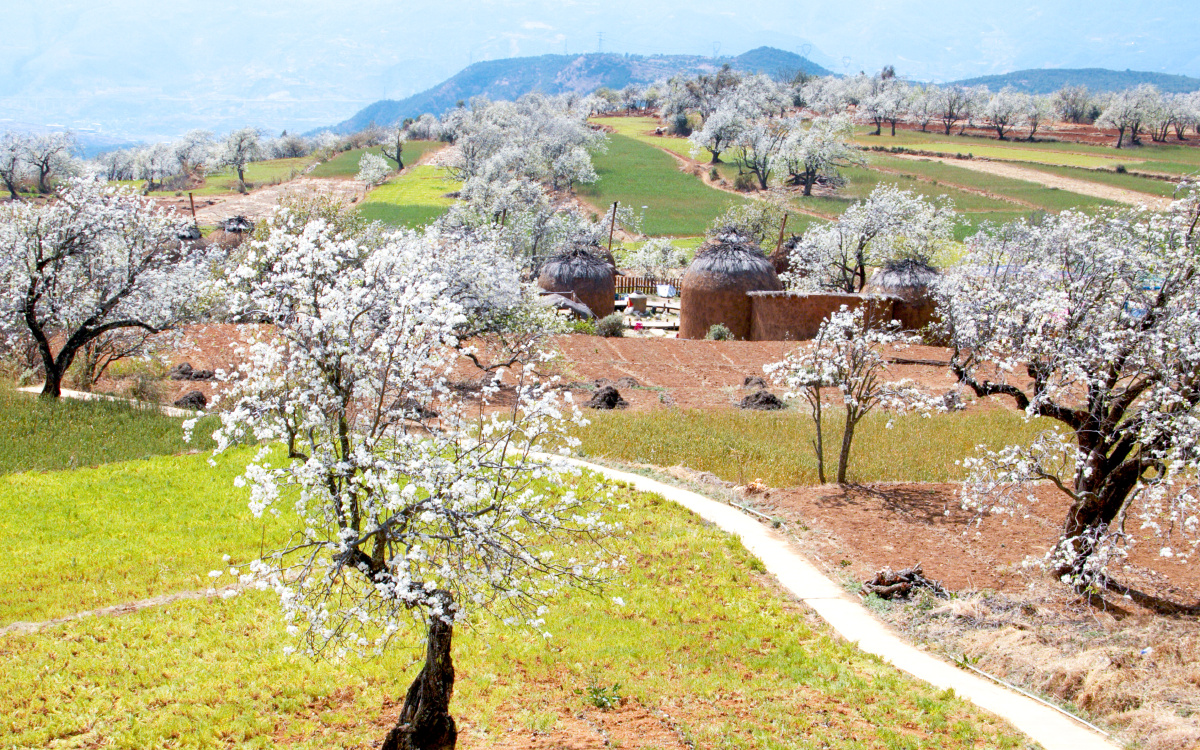 大理鹤庆奇峰梨花村