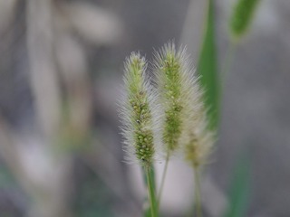 F2095C75-A105-4E8E-99C6-3EF6E84E1D9A/L0/001