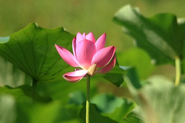 001