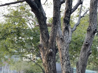 756014BD-C219-4EEA-8D0E-33F6B3E41A59/L0/001