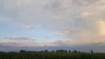 1652608