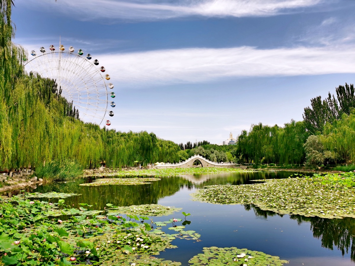 银川中山公园一角