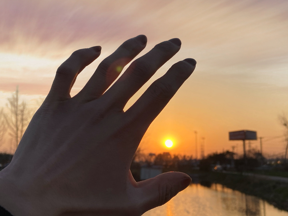 夕阳无限好只是近黄昏