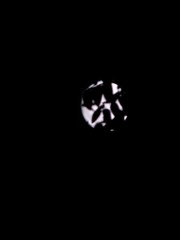 2835532