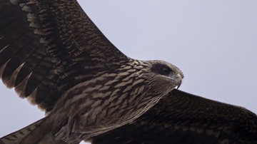 B7924734-4CA7-401D-A157-243F41699505/L0/001