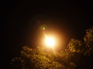 4B54721D-2406-42AD-91F0-06531DF19972/L0/001