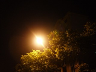 04980DDB-E603-48B4-993B-085608A80693/L0/001