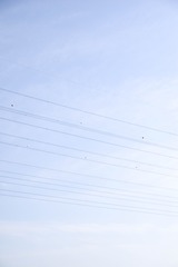 460236