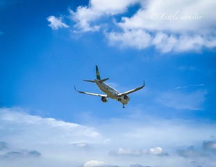 09A789EA-18F7-47C4-8E79-7D5252E7B30C/L0/001