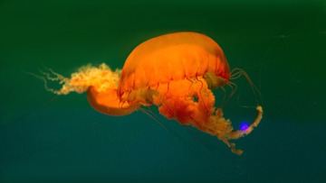 153583
