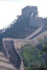 35033