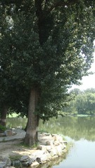 21AD5876-B7FE-46FF-845C-C263B29E493F/L0/001