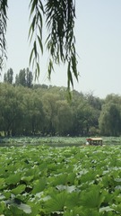 7D769293-1293-452A-83FB-4C5B48776773/L0/001