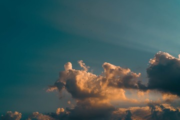 1000041843