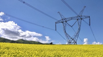 D69C921D-D36C-4C44-9BFE-E4443DAB49D4/L0/001