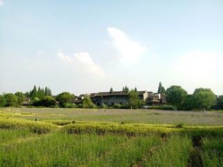 195090