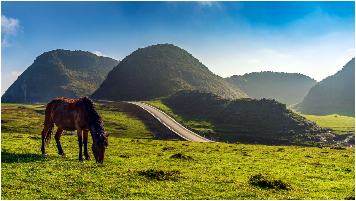 自驾阿西里西大草原阿西里西大草原位于贵州省赫章县东南部,总面积50