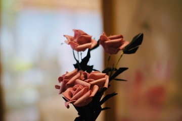 A72E0BCD-06BB-4230-B7A0-D274B7E6BD57/L0/001