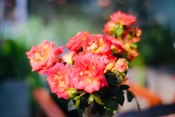 4F30C73F-3A00-48A8-A471-4DA24D3D0F16/L0/001