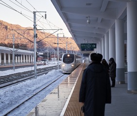 238881