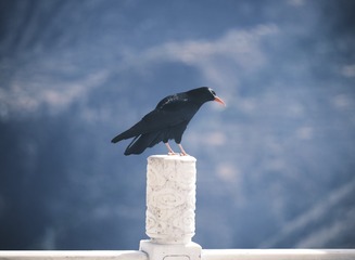 253057