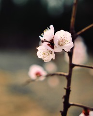 6C9AD6FC-406A-48EA-8B4C-D44847CA3A1A/L0/001