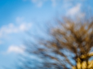 B0C1D01C-F873-4FD0-BE1C-86EBE3C62BC9/L0/001