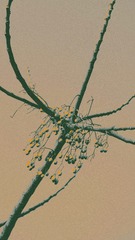 1EBA2C8A-DC63-465B-A8B7-F06E0D7CAE23/L0/001