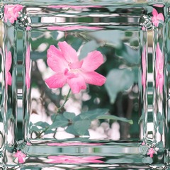 3A142913-111B-46DB-B813-28F73BA54CB6/L0/001