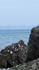 FE6D340E-915F-4F05-BDDA-972BD7774BCE/L0/001