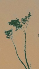 9B92A0C2-9299-446D-833C-AE9E33FF64D9/L0/001
