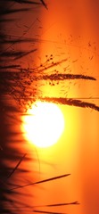 4A43B9F1-AA53-45F1-B3E9-487A06BF2B82/L0/001