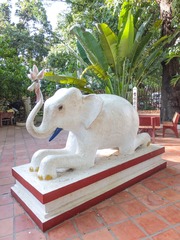 DSCF4783