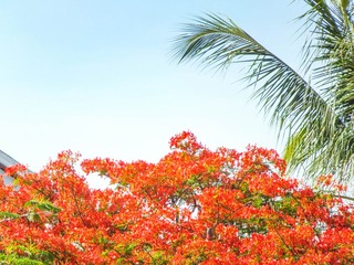 DSCF4776