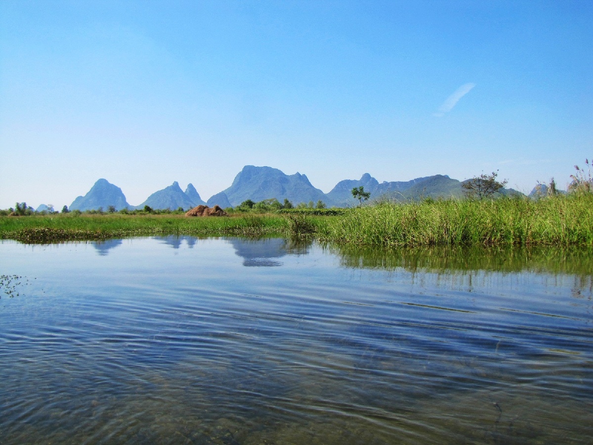 桂林会仙湿地