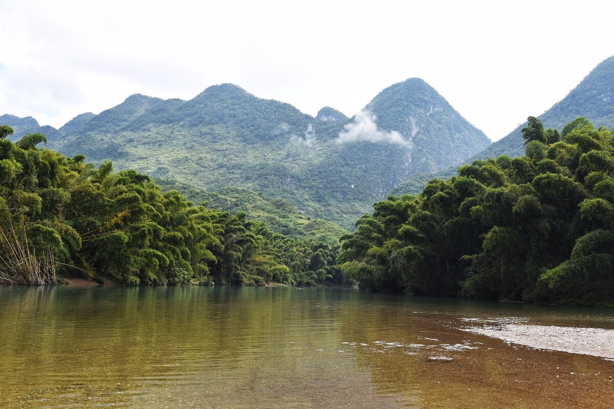 平塘甲茶风景图片