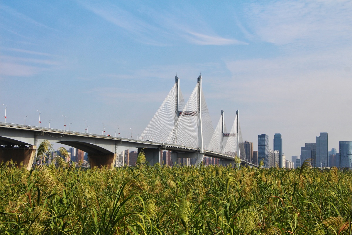 芳草萋萋鹦鹉洲