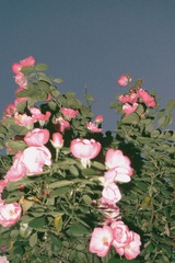 F4AD85DF-BA21-4B13-8F02-4D2C017FD1C4/L0/001