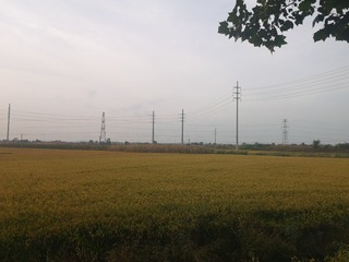 4502493