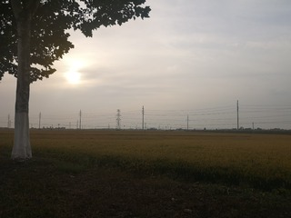4502491
